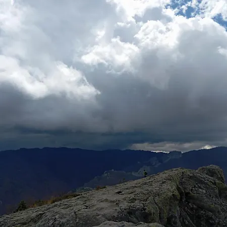 марциганица Asenovgrad