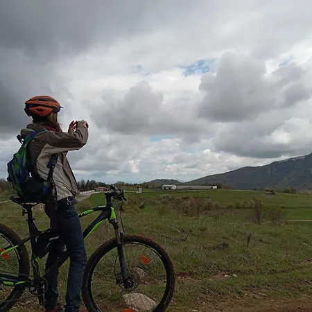 Lodge марциганица